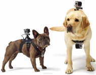 Крепление-упряжка для собак GoPro Fetch Dog Harness